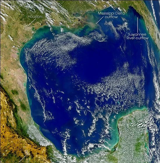Virtual Workshop: The Gulf of Mexico