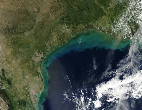 Workshop: Gulf of Mexico (2020)