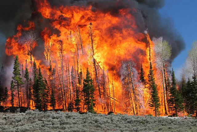 Virtual Workshop: Wildfire in the West