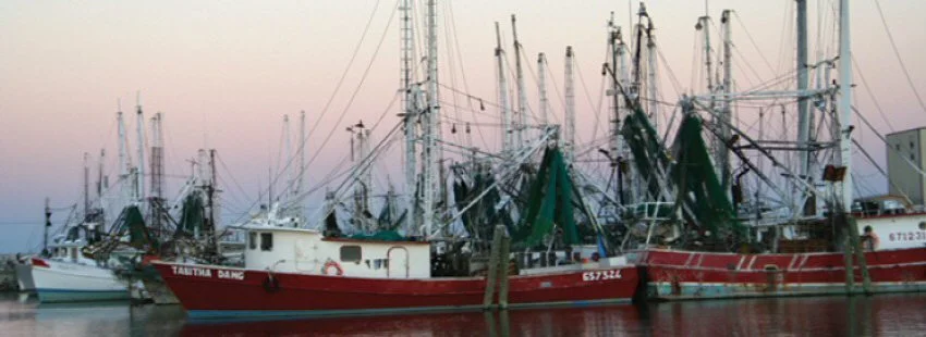 Ocean + Climate Workshop Series, #4: The Gulf Coast