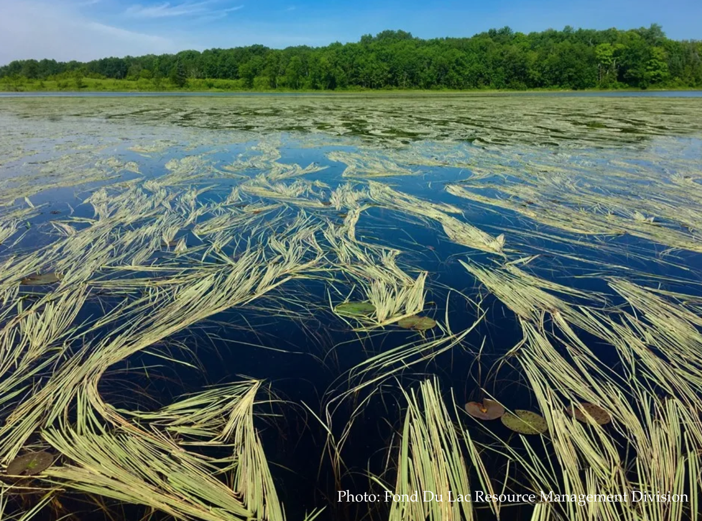 Traditional Ecological Knowledge: Decolonizing Conservation and Rethinking Resource Management