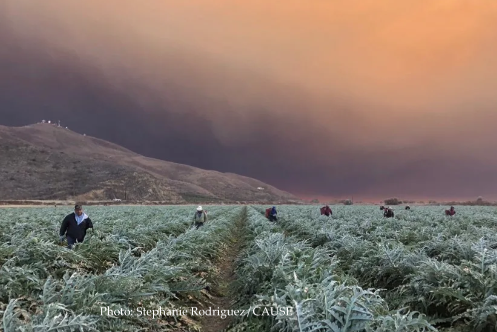 Virtual Workshop: Climate Justice and Environmental Racism