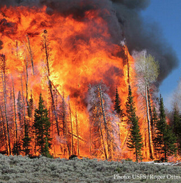 Resource Highlight: Wildfire Smoke and Public Health
