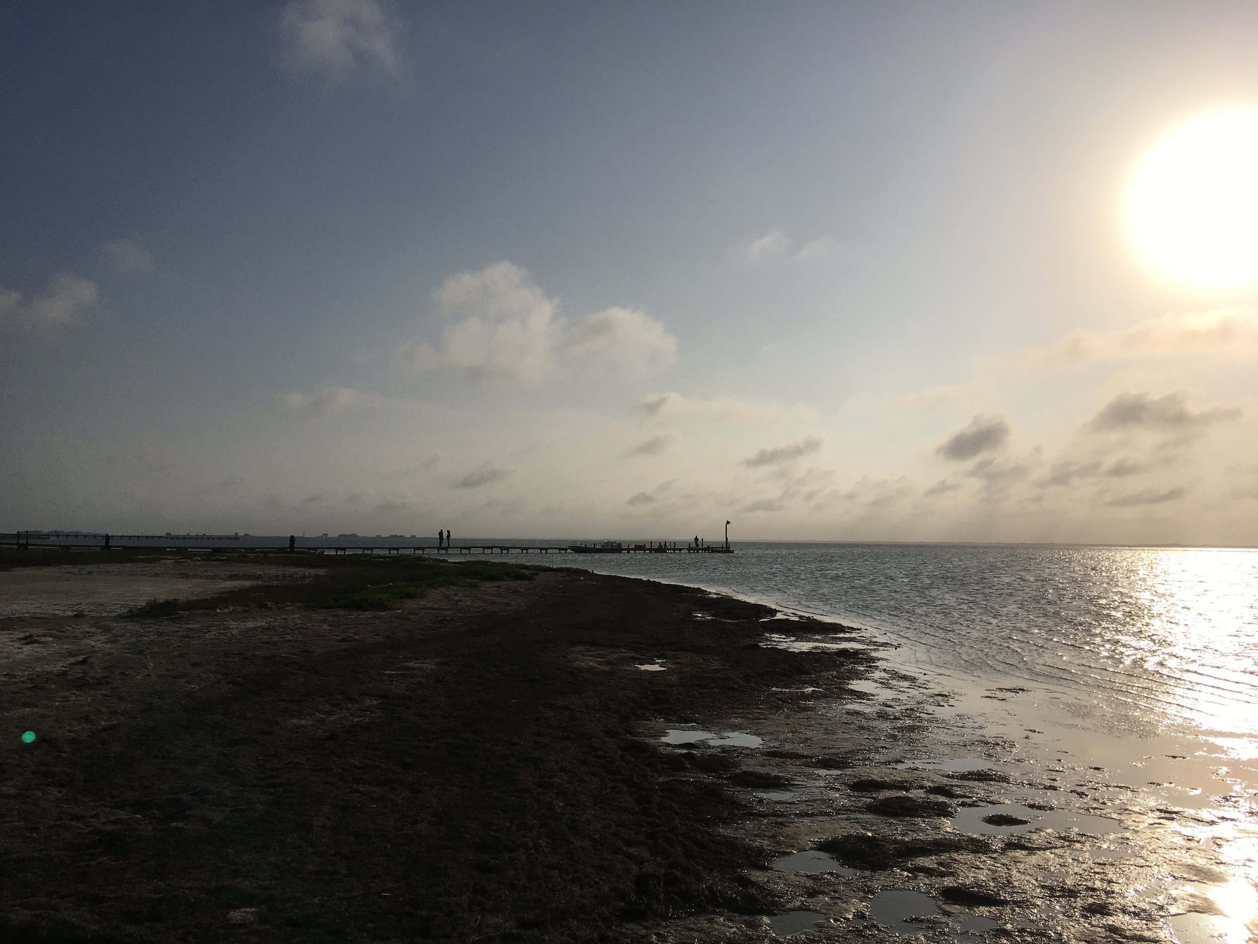 SEJ Post-Conference Tour: South Texas Coast (2022)