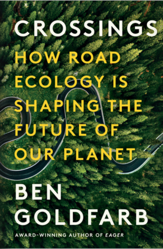 Fellows at Work: Road Ecology, Louisiana Wildfires, Cancer Alley and More