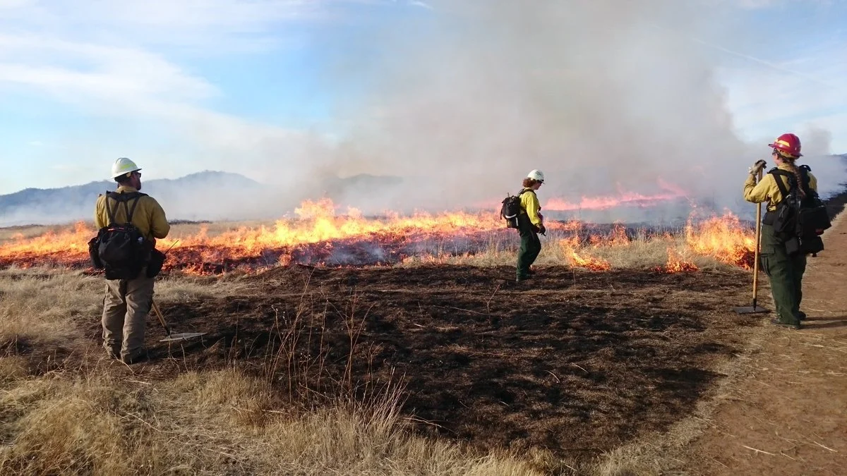 Virtual Workshop: Wildfire Policy, Politics + Science