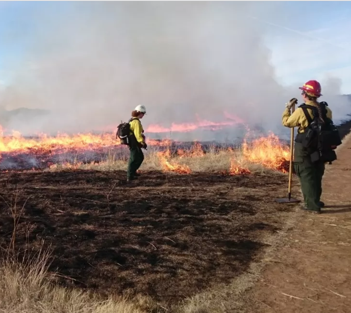 Wildfire Institute
