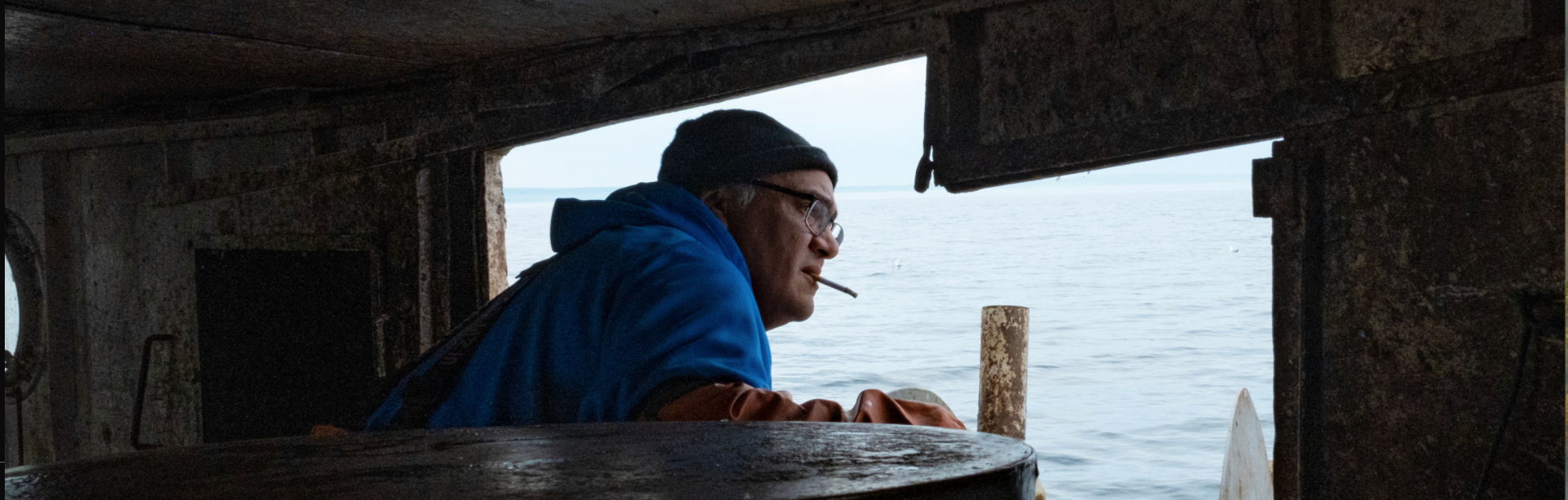 Fellows at Work: Toxic Sands, Prescribed Burns, Warming Arctic, Vultures and More