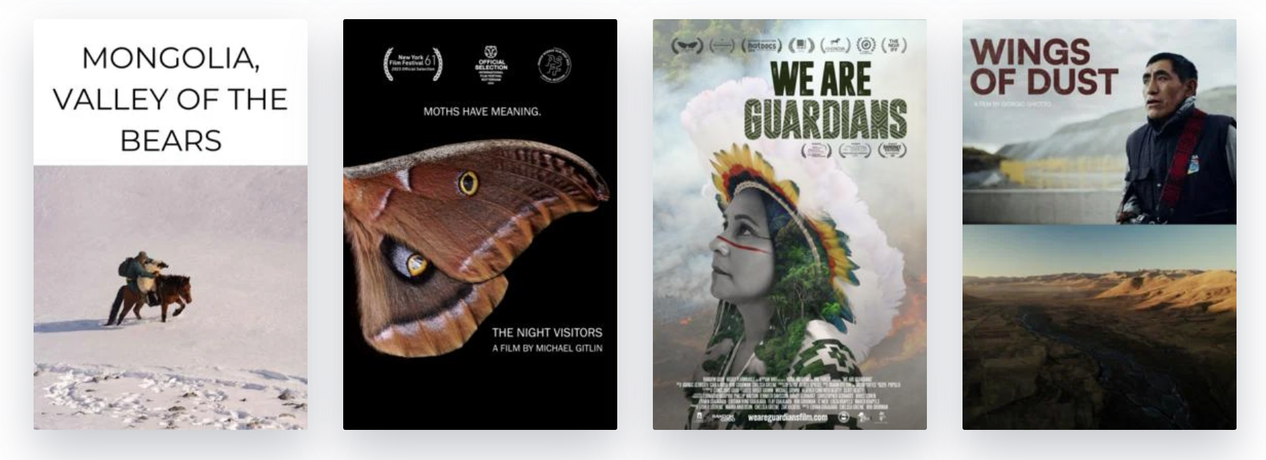 Fellows at Work: Wood Pellets, Salmon, Pesticides and More