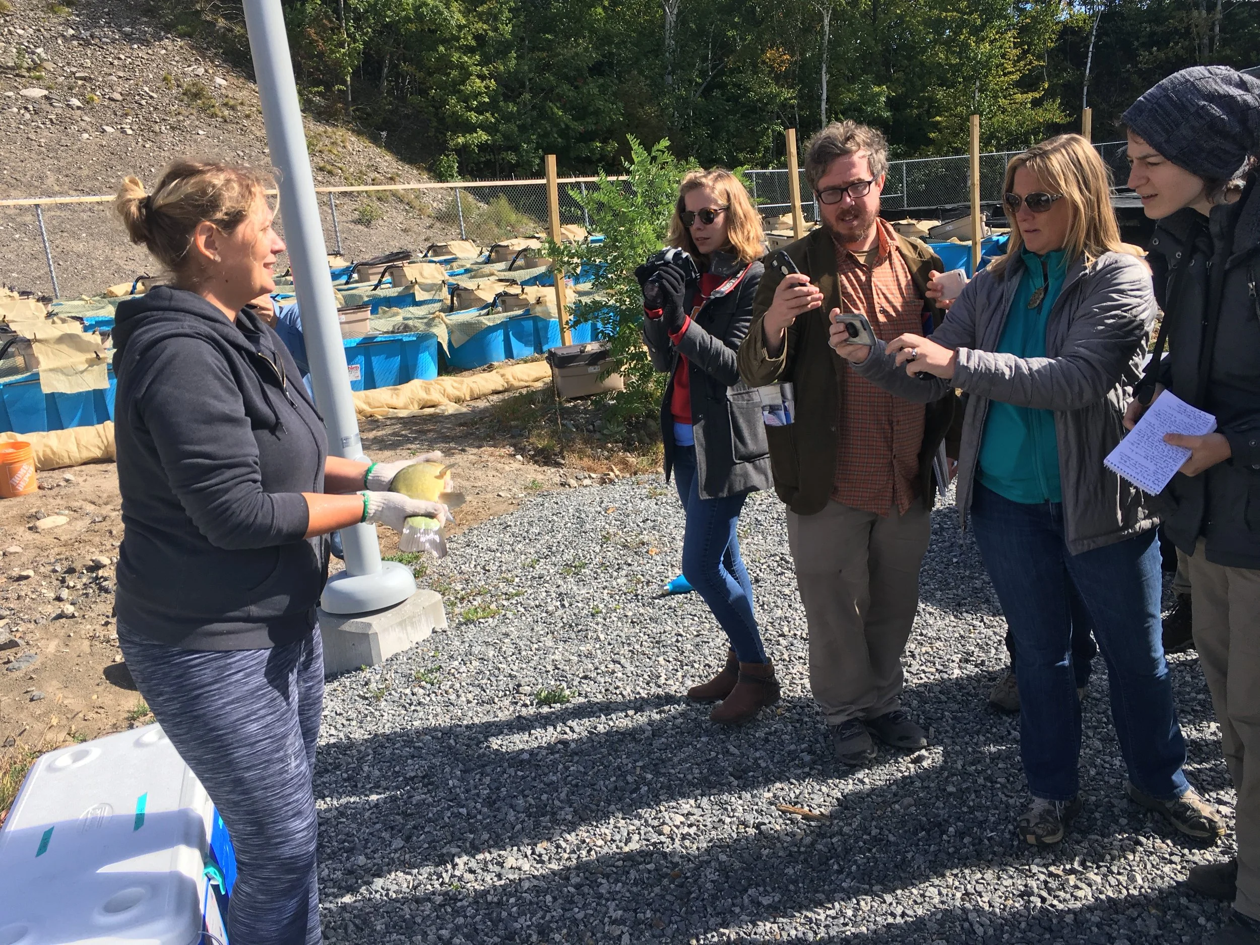 Reporting on the Urban Environment: A Training Workshop for Journalists