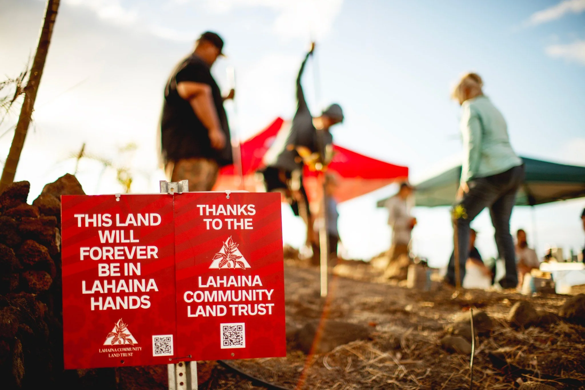 Fellows at Work: Bison for Lunch, Ice-storm Opportunities, Climate Anxiety and more