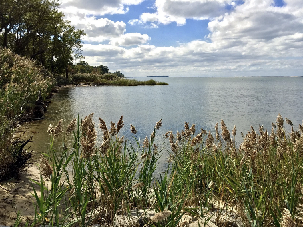 Workshop: Chesapeake Bay (2025)