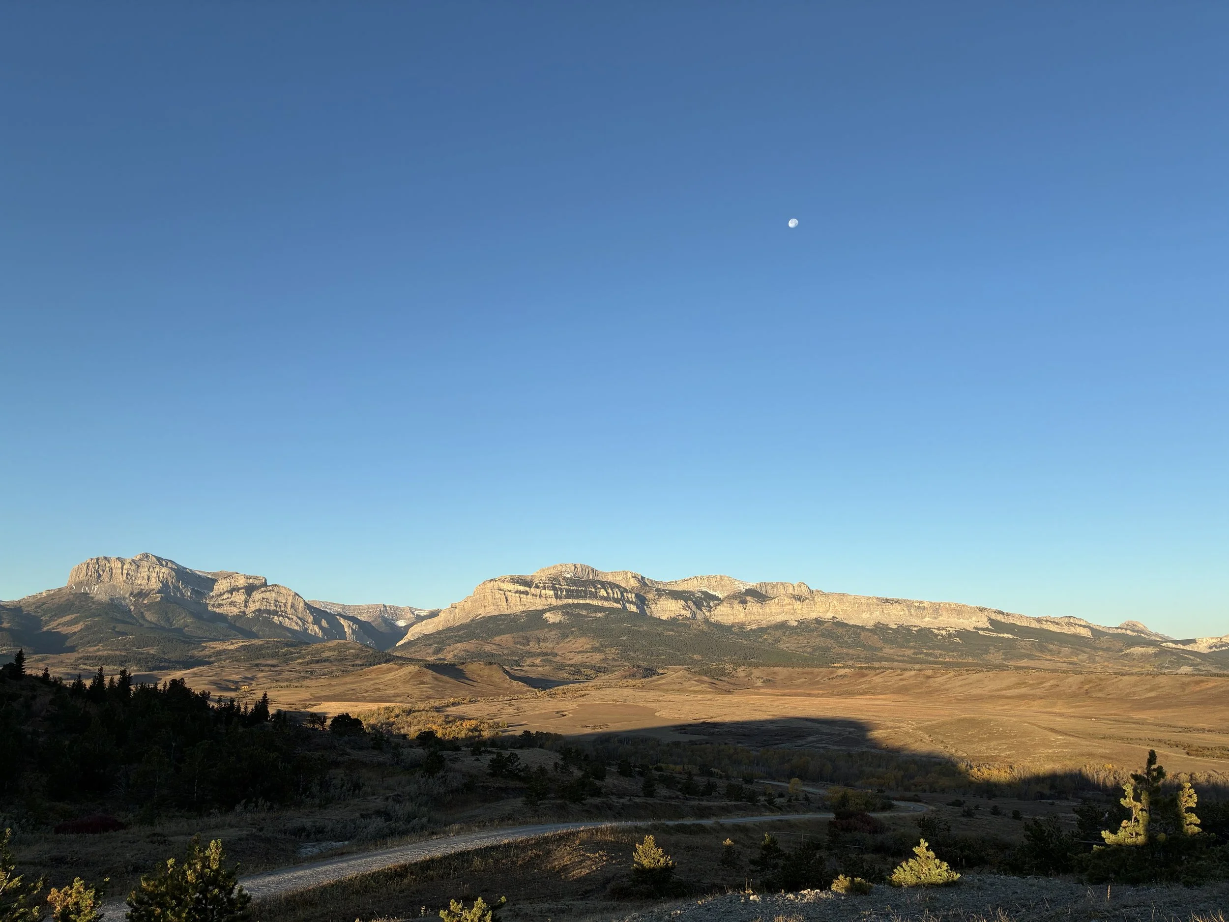 2026 Reporting Grant Application Period