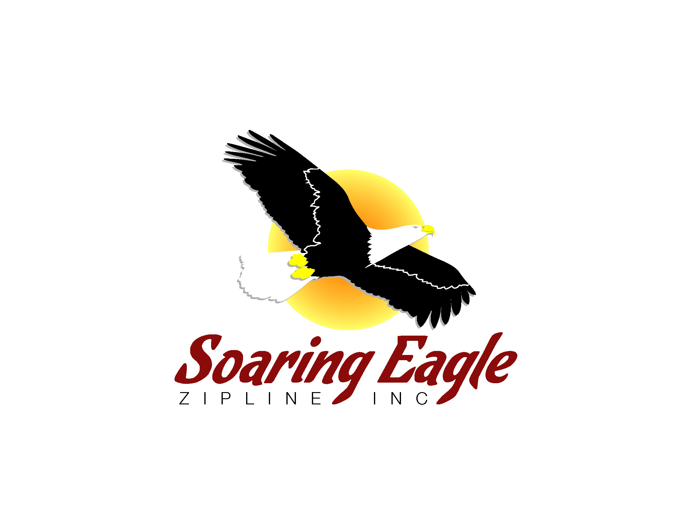 NewSoaringEagleLogo2.jpg