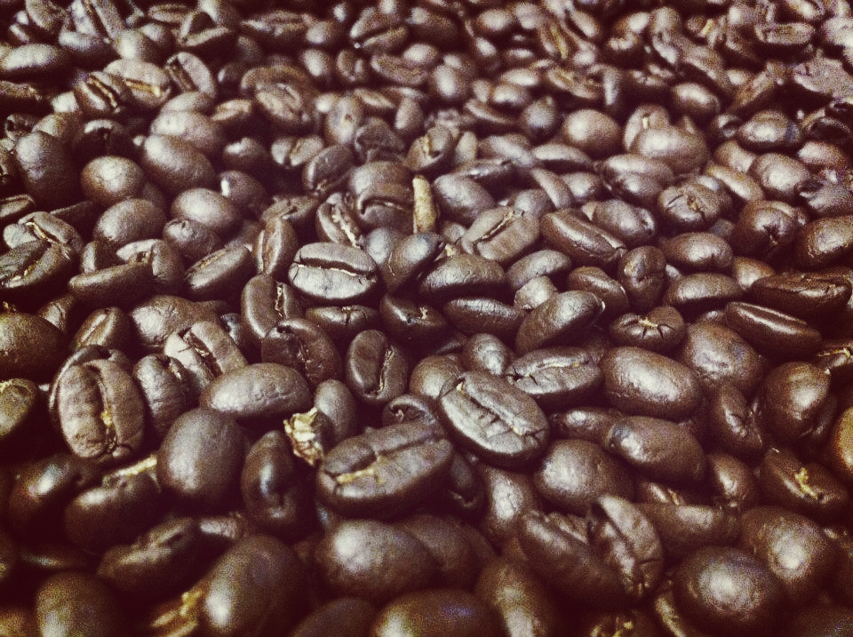 Our beans after roasting.