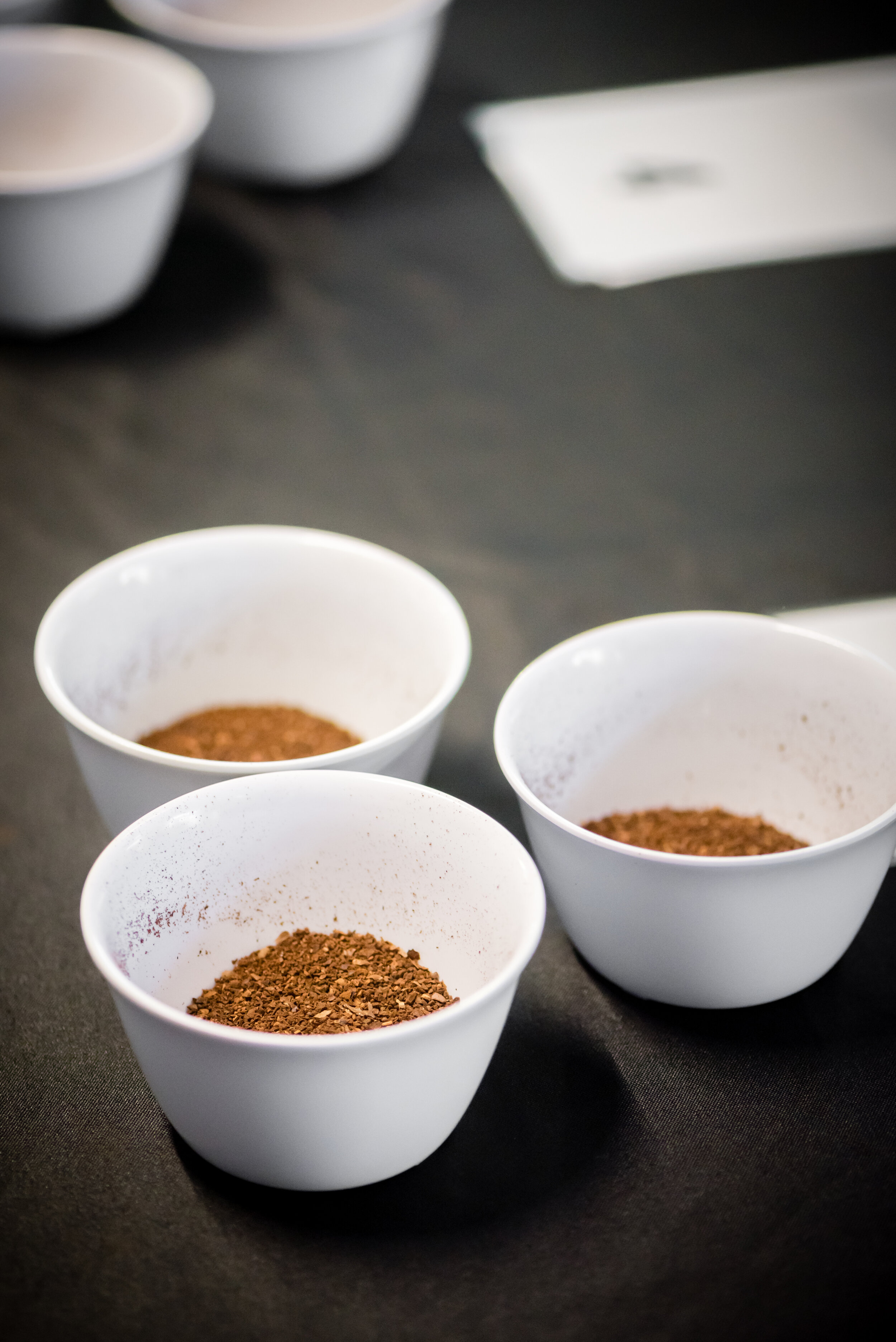 Cupping + Tasting - Mosaic Photo 8.jpg