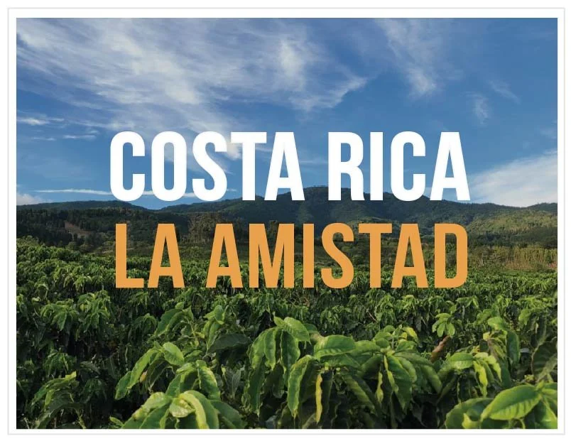 CostaRica.LaAmimstad.jpg
