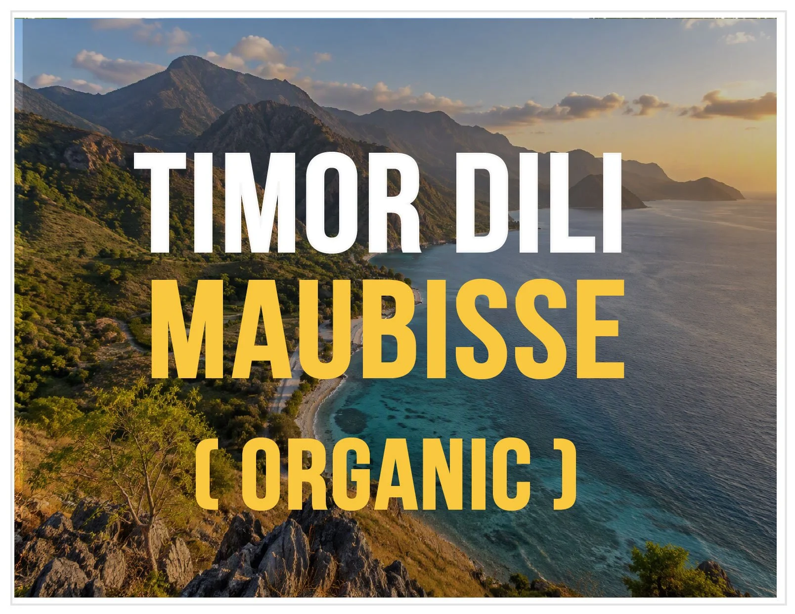 TimorDili.Maubisse.OrganicWebsite.Block.jpg