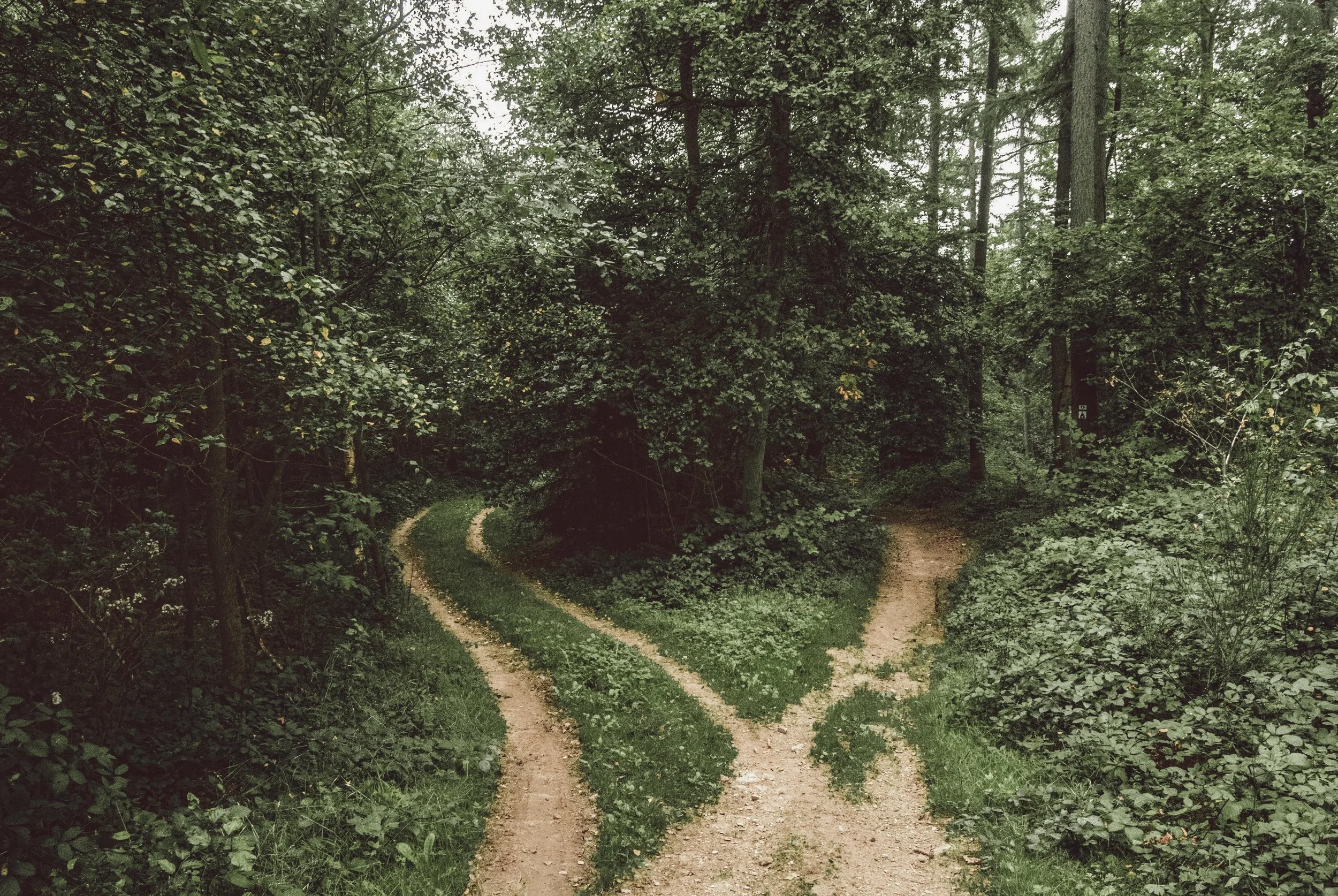 Sacred Pathways