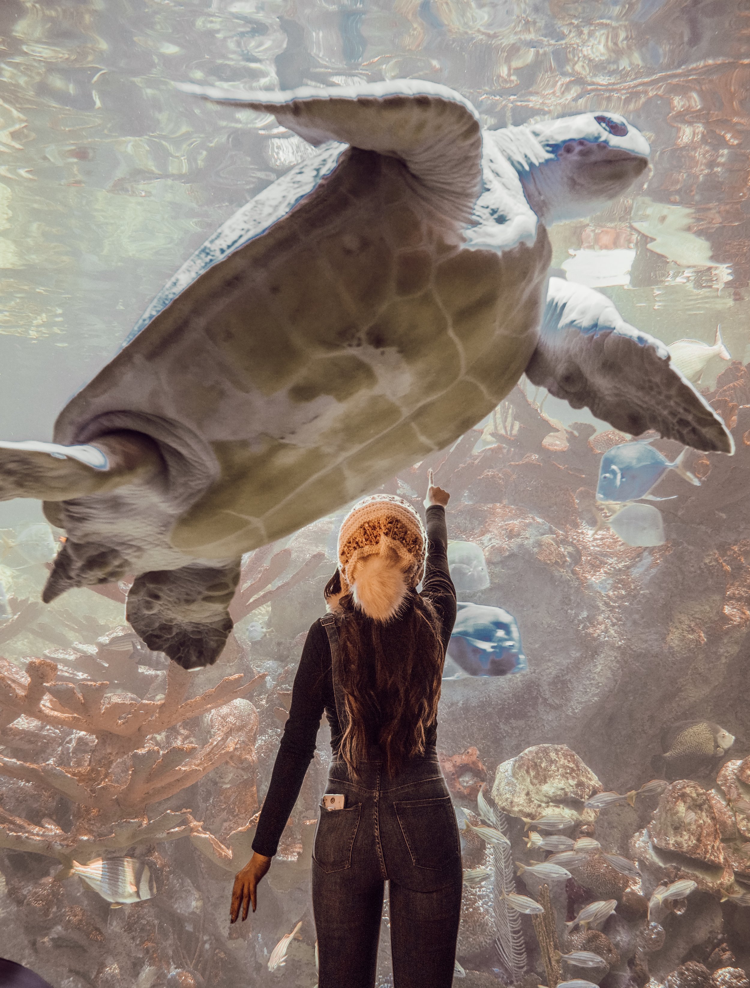 My 8 Must-Visit Places in Boston!