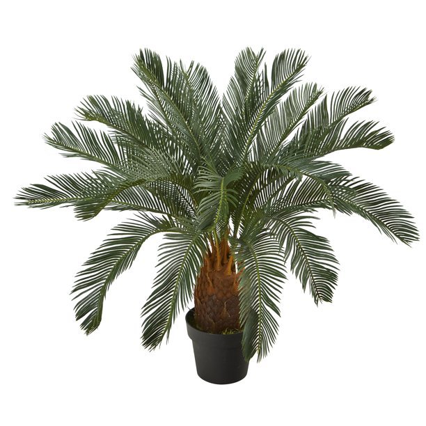 Artificial Cycas