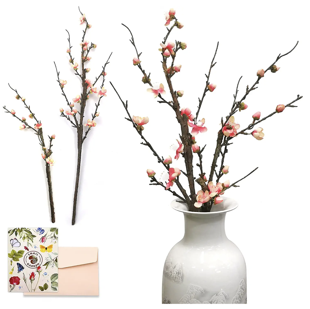 Plum Blossom Flowers