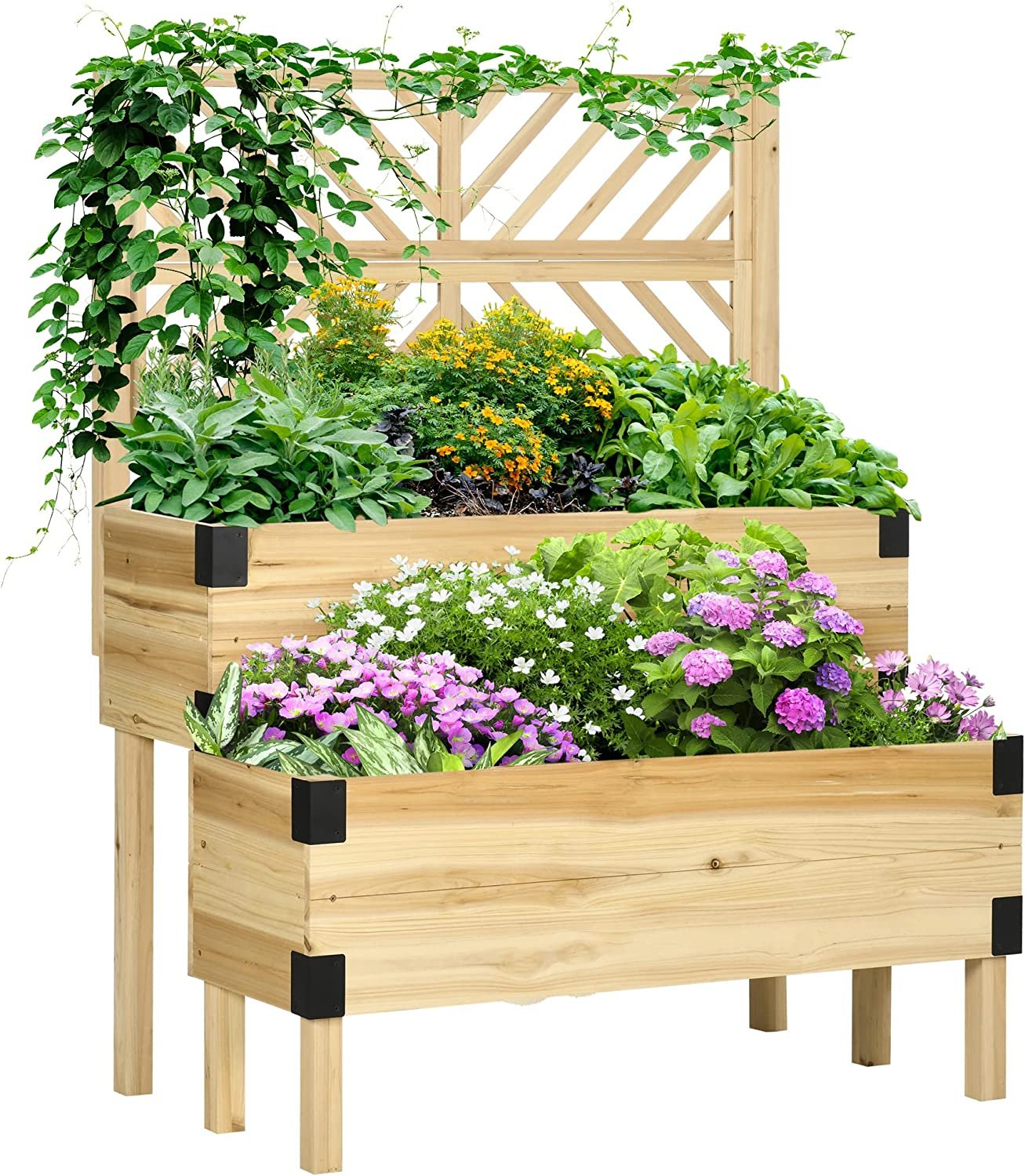 Raised Garden Bed