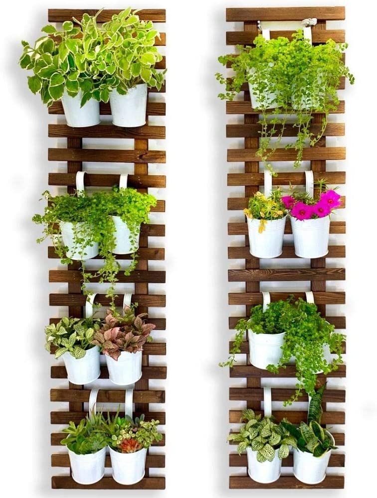 Plant Wall Mount