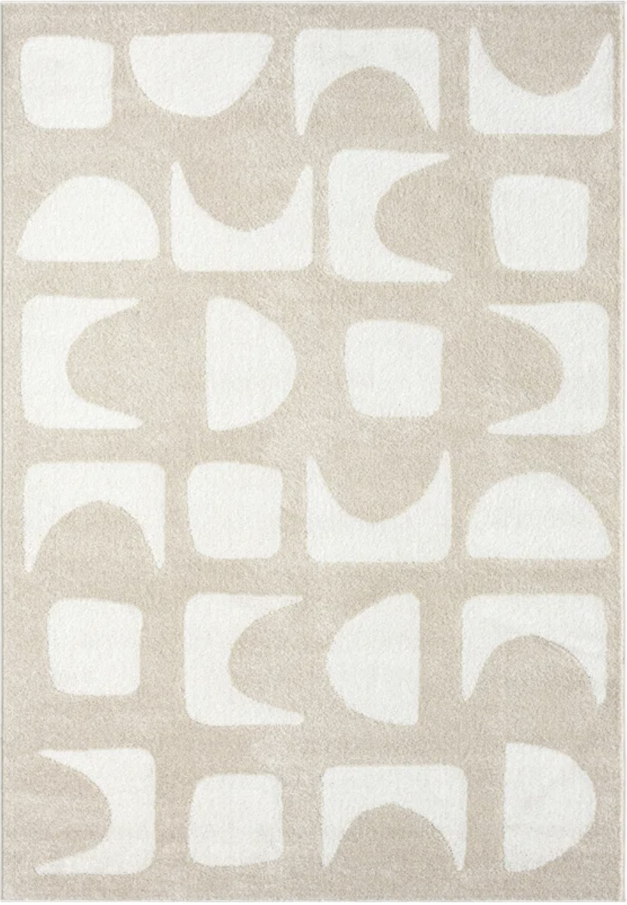 Area Rug 3