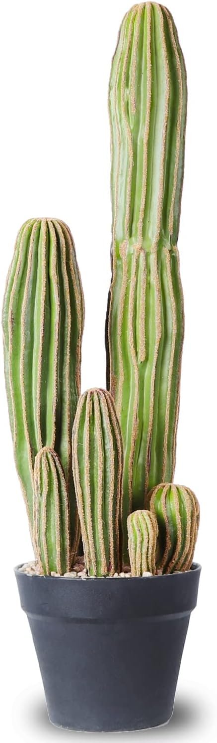 Faux Cactus