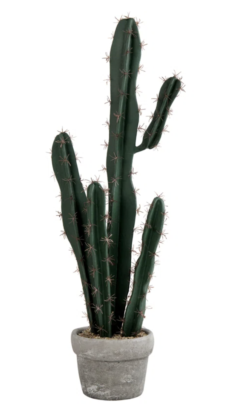 Faux Cactus