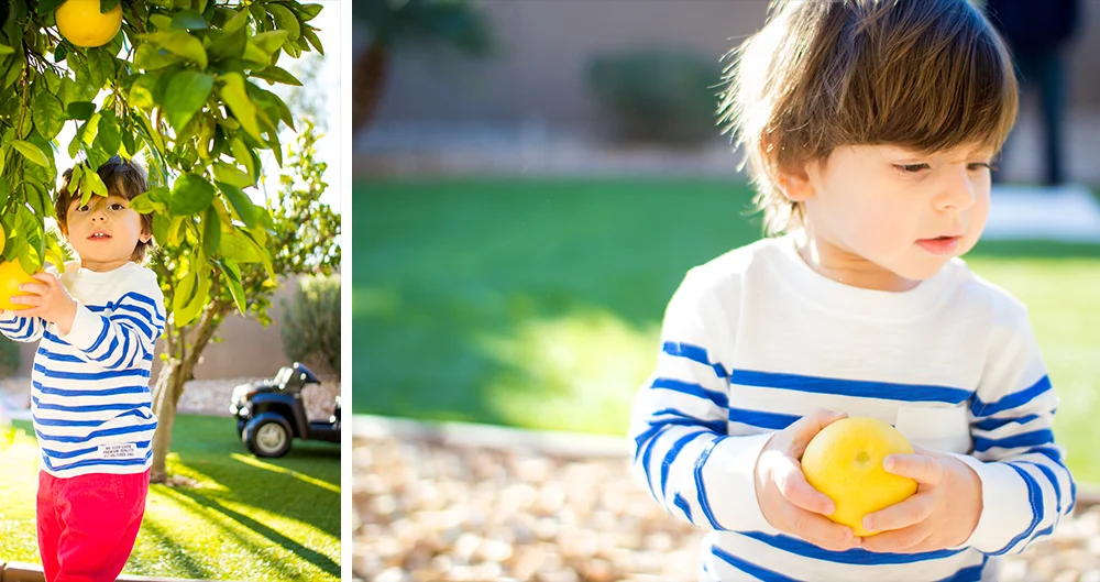 Family Session Scottsdale 12