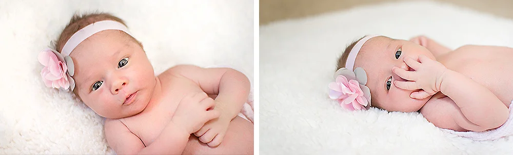 Newborn Phoenix Photographer 20