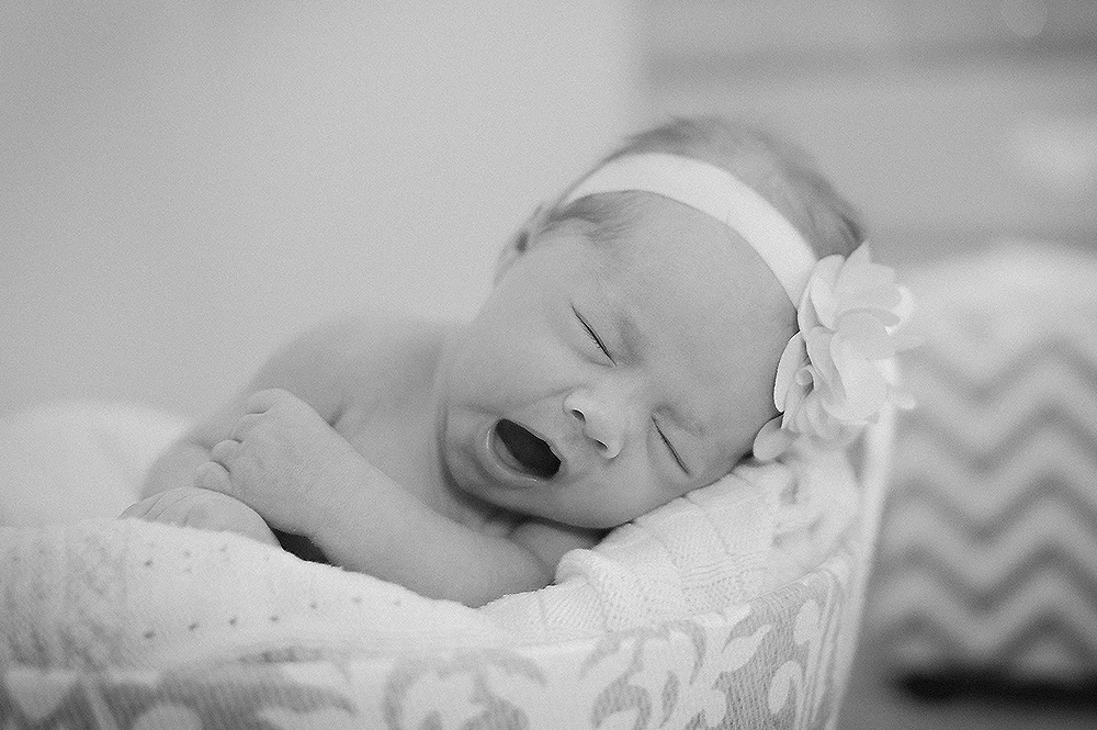 Newborn Phoenix Photographer 23
