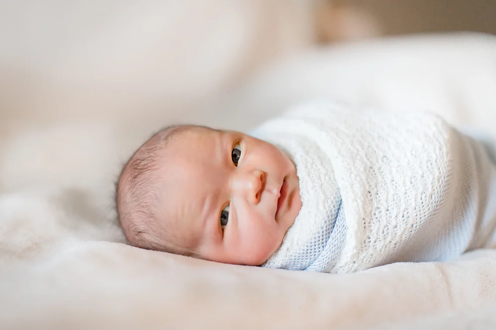 Newborn Photo Session Phoenix 10