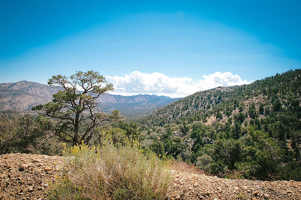Big Bear California Road Trip 21