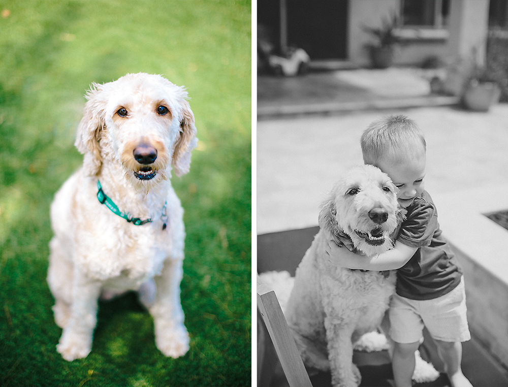 Denver Newborn Photographer 15
