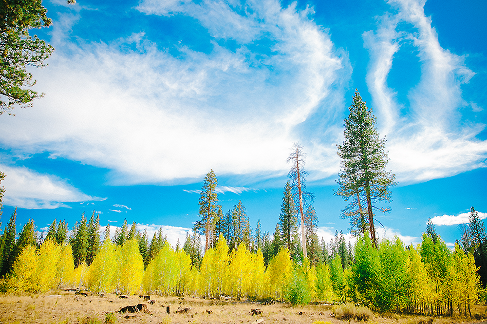 Lassen Volcanic National Park 1