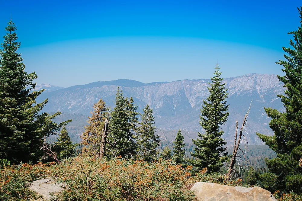 Sequoia National Park Road Trip 20
