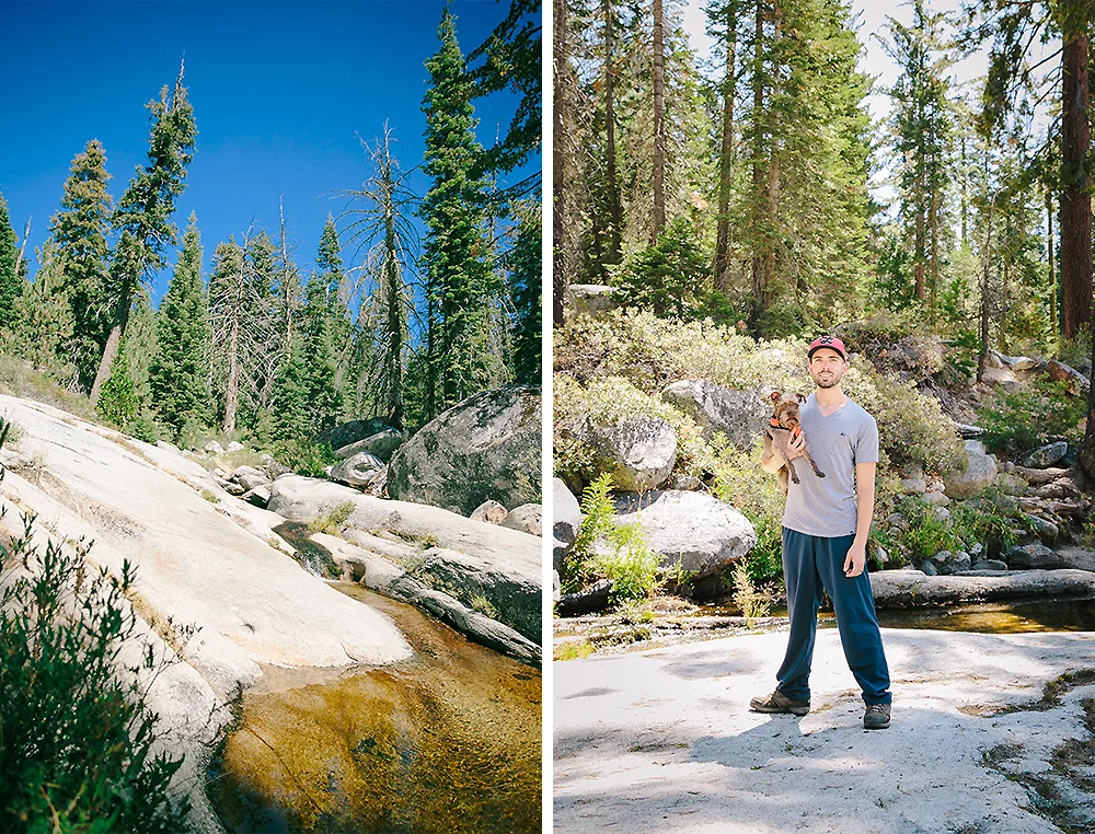 Sequoia National Park Road Trip 4