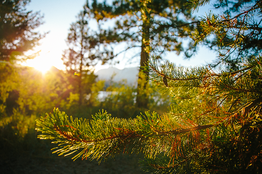 South Lake Tahoe 1