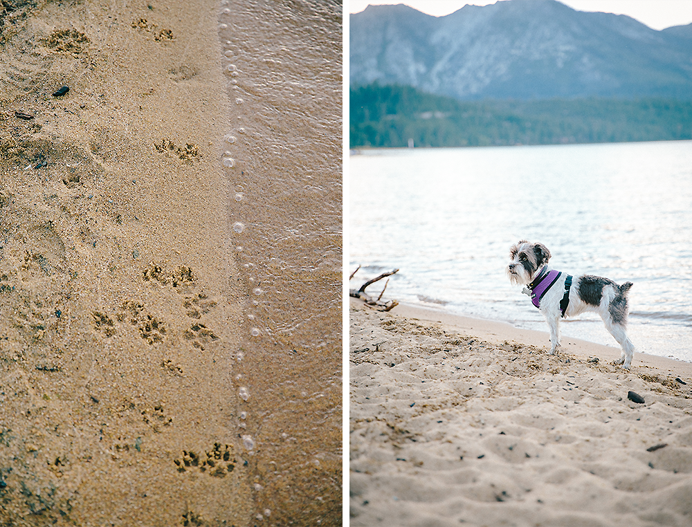 South Lake Tahoe 12