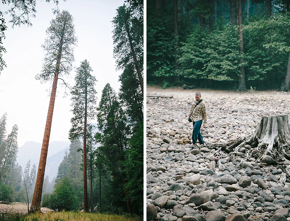Yosemite National Park Road Trip 12