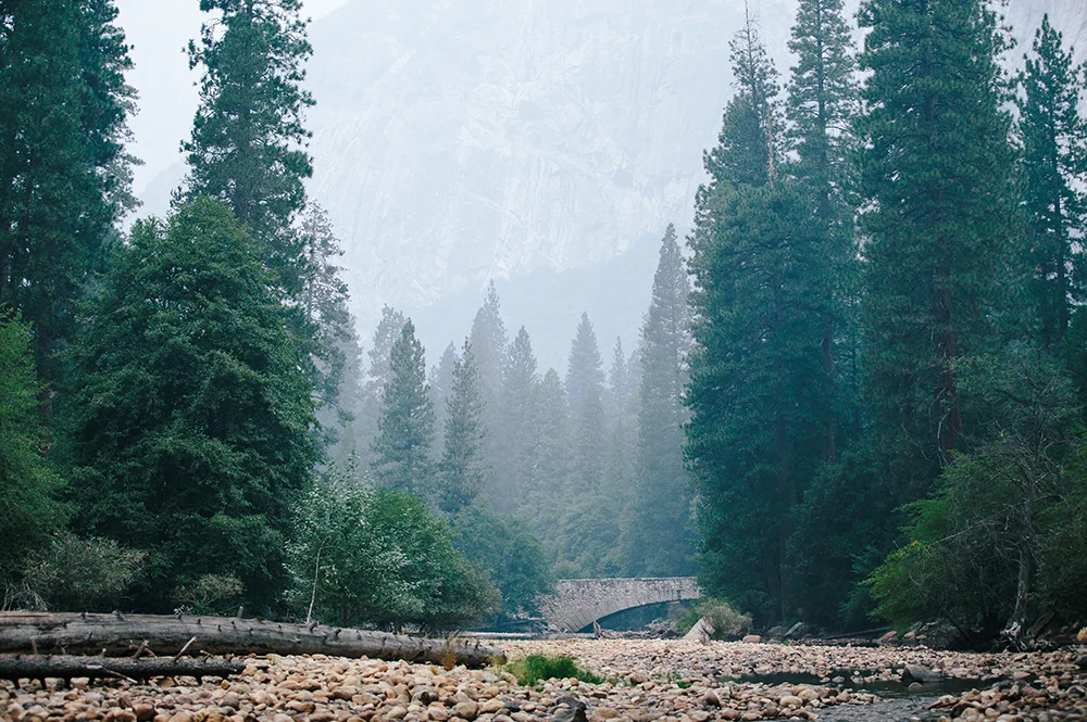Yosemite National Park Road Trip 10