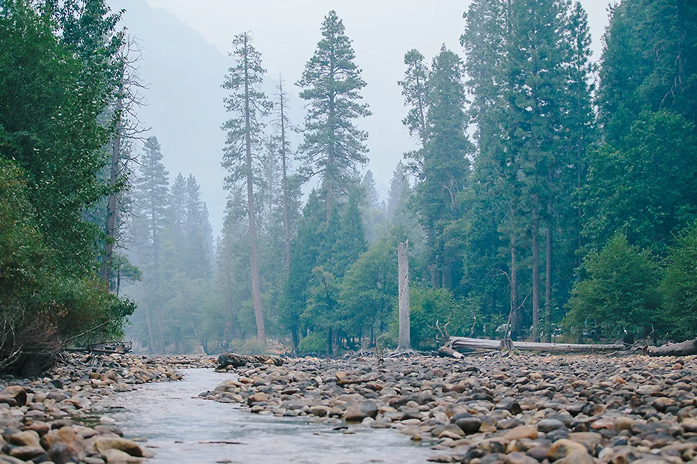 Yosemite National Park Road Trip 13