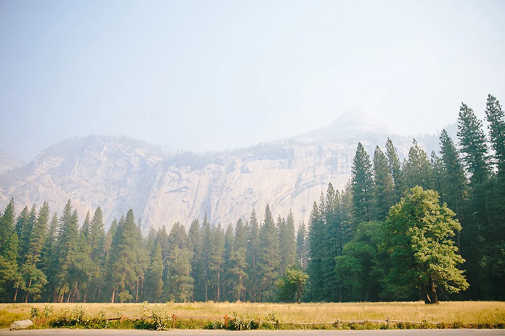 Yosemite National Park Road Trip 21