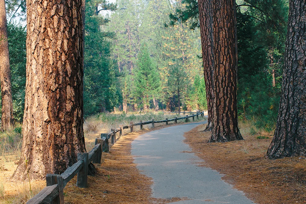 Yosemite National Park Road Trip 35