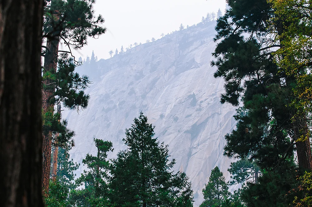 Yosemite National Park Road Trip 48