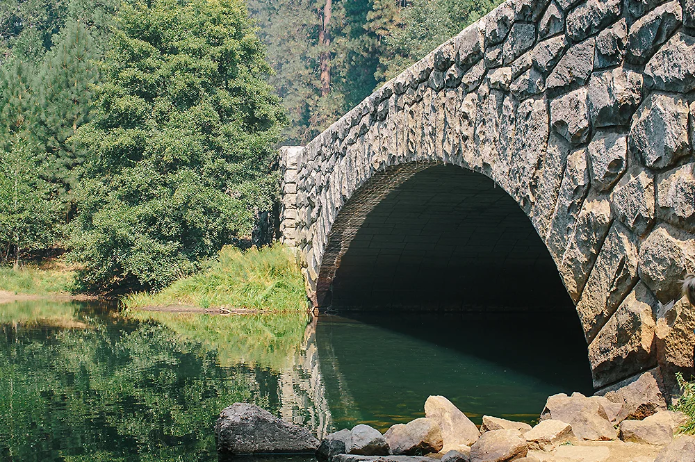 Yosemite National Park Road Trip 49