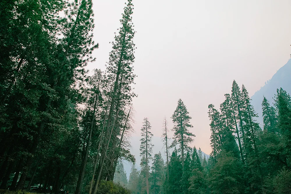 Yosemite National Park Road Trip 5
